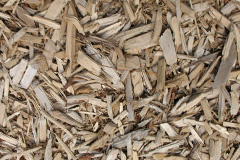 biomass boilers Denstone